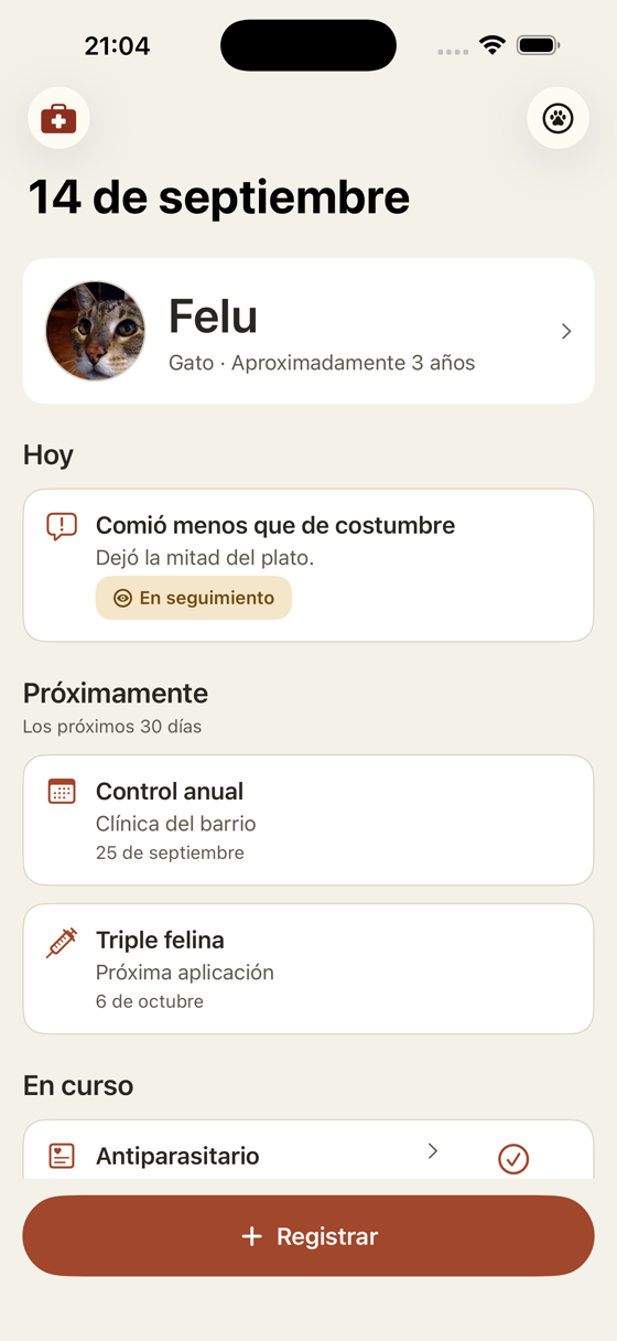 La misma pantalla, la de un gato: algo que se notó hoy, el control anual y la vacuna que viene.